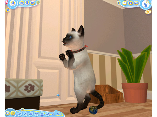 Скриншот из игры Petz Catz 2 - 20