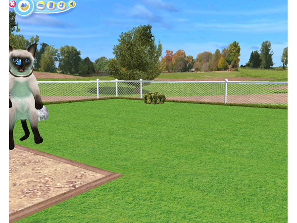 Скриншот из игры Petz Catz 2 - 74