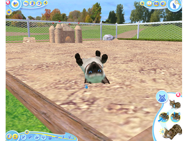 Скриншот из игры Petz Catz 2 - 63