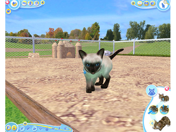 Скриншот из игры Petz Catz 2 - 86