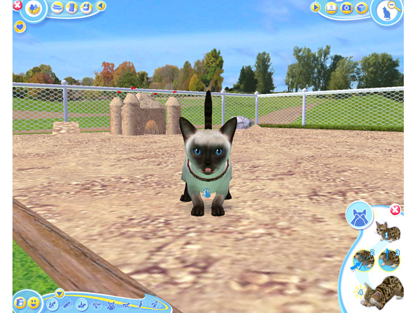 Скриншот из игры Petz Catz 2 - 13