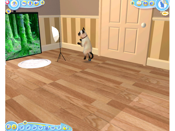 Скриншот из игры Petz Catz 2 - 16