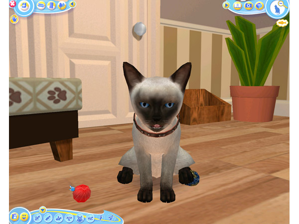 Скриншот из игры Petz Catz 2 - 23