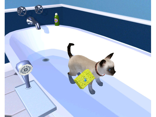 Скриншот из игры Petz Catz 2 - 29