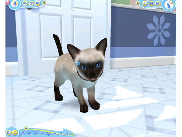 Скриншот из игры Petz Catz 2 - 25
