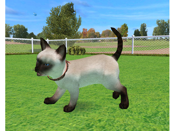 Скриншот из игры Petz Catz 2 - 62