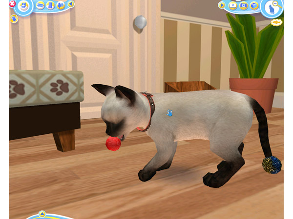 Скриншот из игры Petz Catz 2 - 55