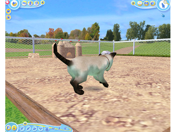 Скриншот из игры Petz Catz 2 - 70