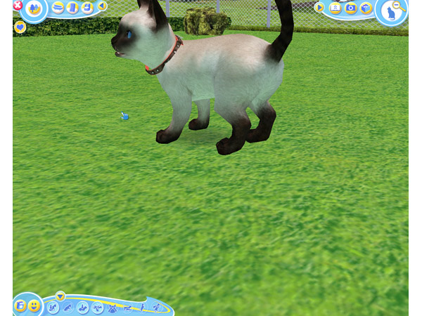Скриншот из игры Petz Catz 2 - 27