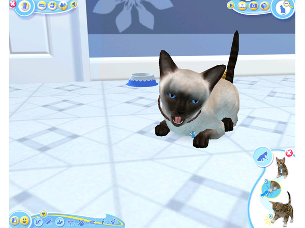 Скриншот из игры Petz Catz 2 - 11