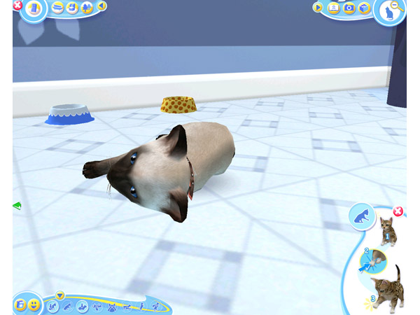 Скриншот из игры Petz Catz 2 - 56
