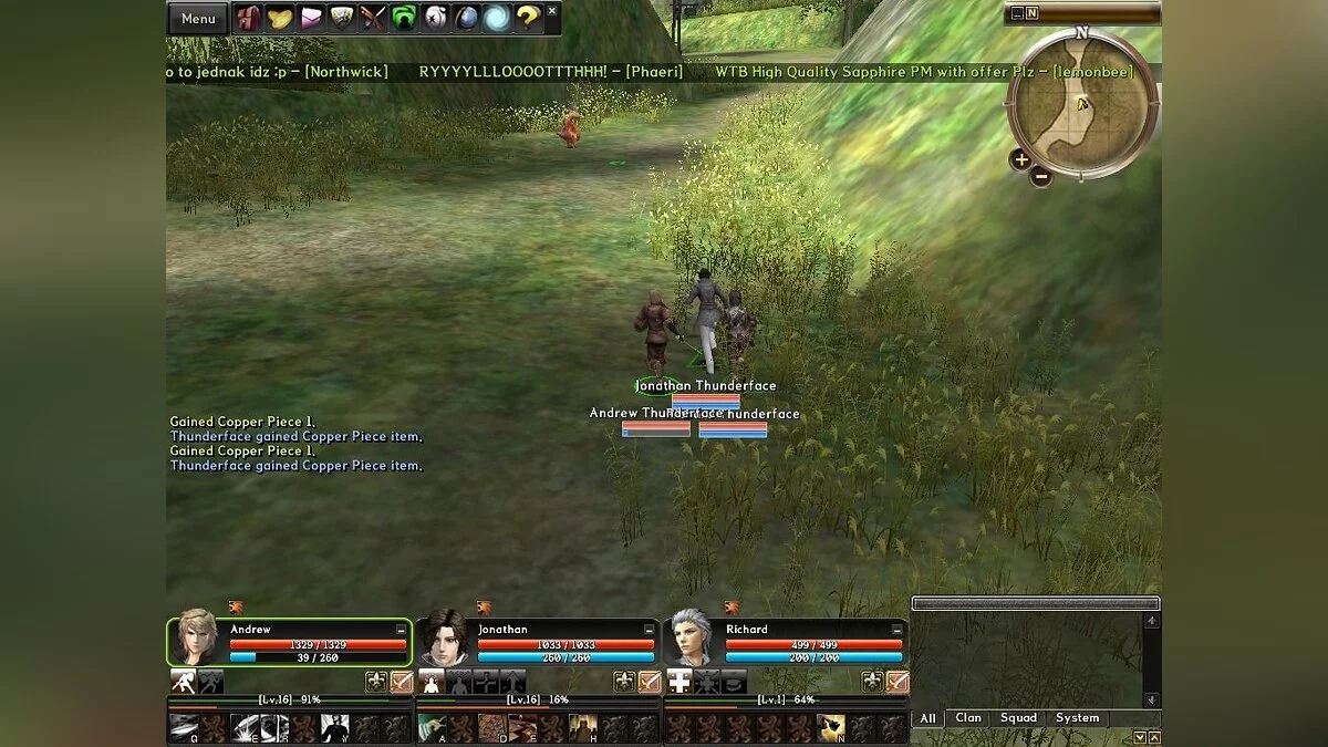 Скриншот из игры Sword of the New World: Granado Espada - 4