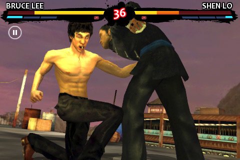 Скриншот из игры Bruce Lee Dragon Warrior - 1
