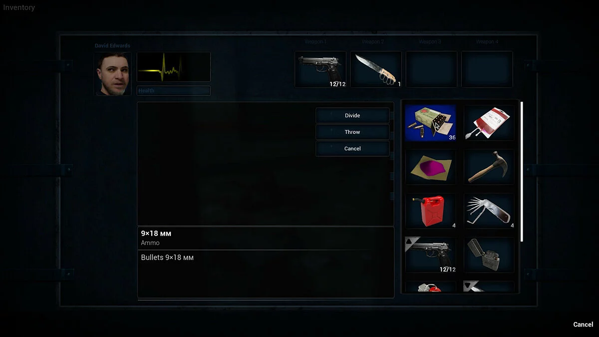 Скриншот из игры EBOLA 3 - 14