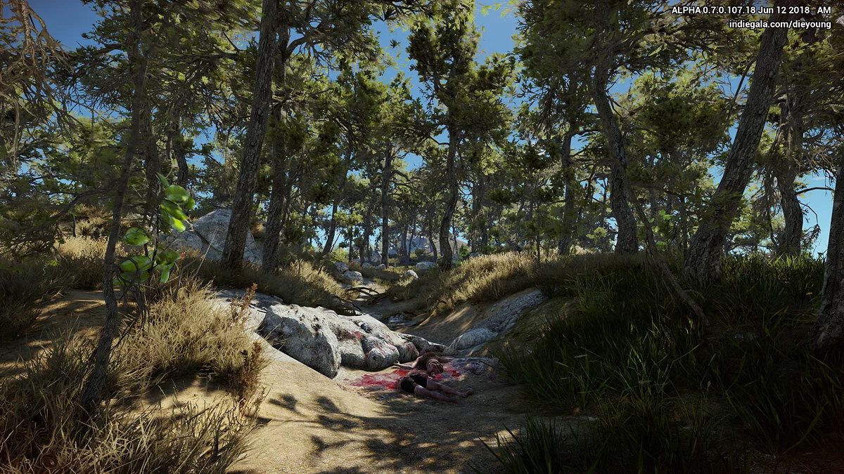 Скриншот из игры Die Young - 31