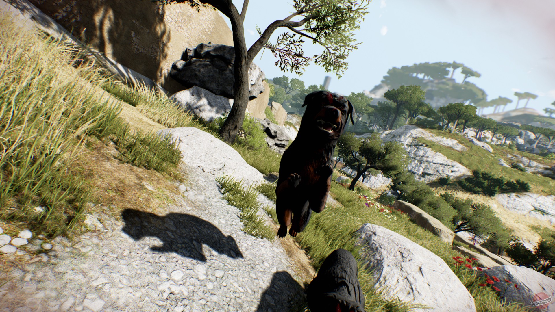 Скриншот из игры Die Young - 11