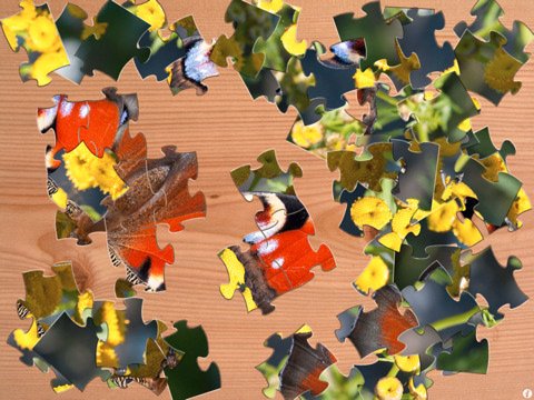 Скриншот из игры Jigsaw Puzzle - 1