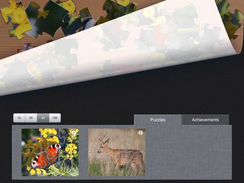 Скриншот из игры Jigsaw Puzzle - 2