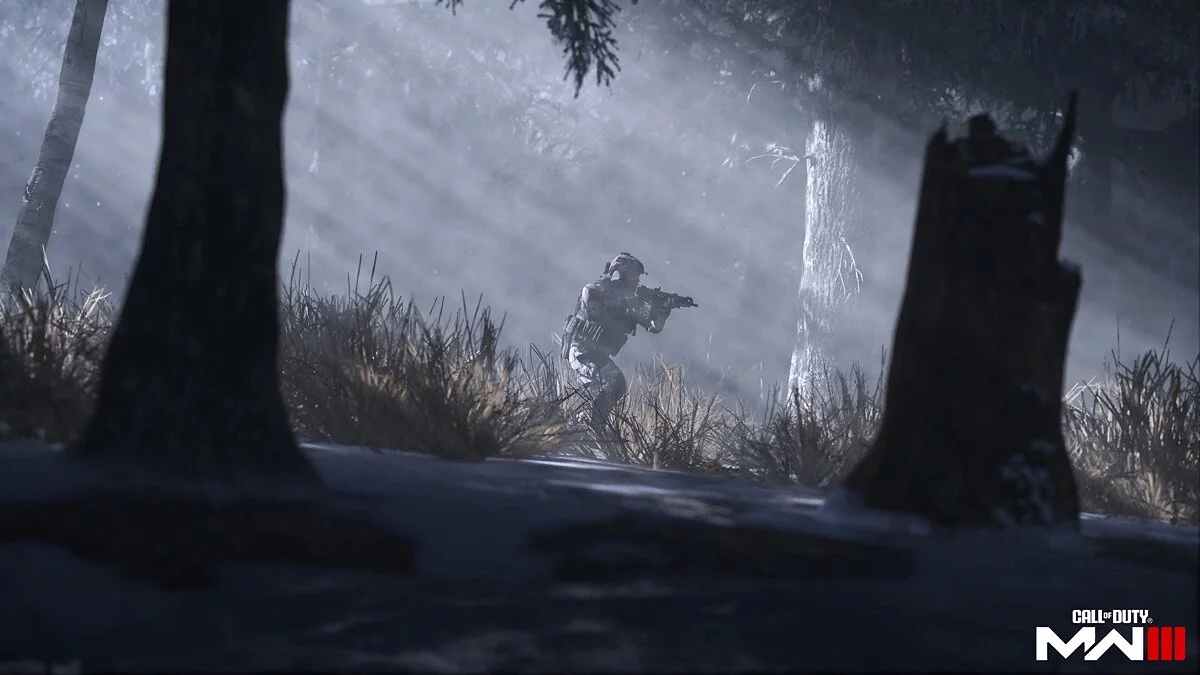 Скриншот из игры Call of Duty: Modern Warfare 3 - 49