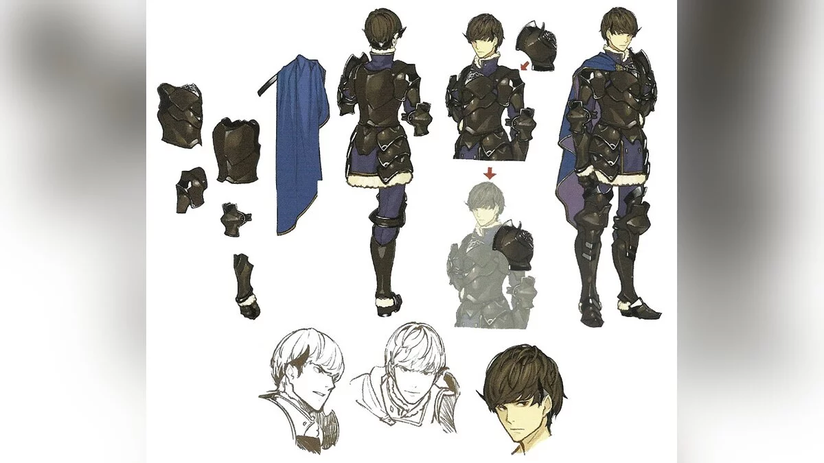 Скриншот из игры Fire Emblem Echoes: Shadows of Valentia - 11