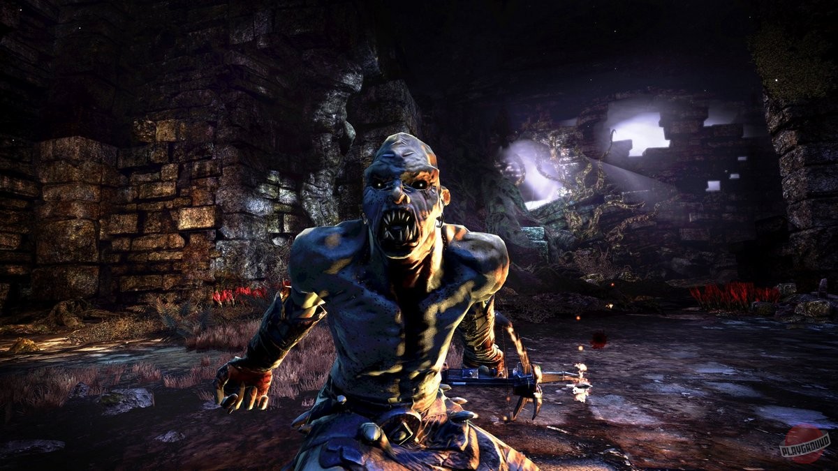 Скриншот из игры Hunted: The Demon's Forge - 76