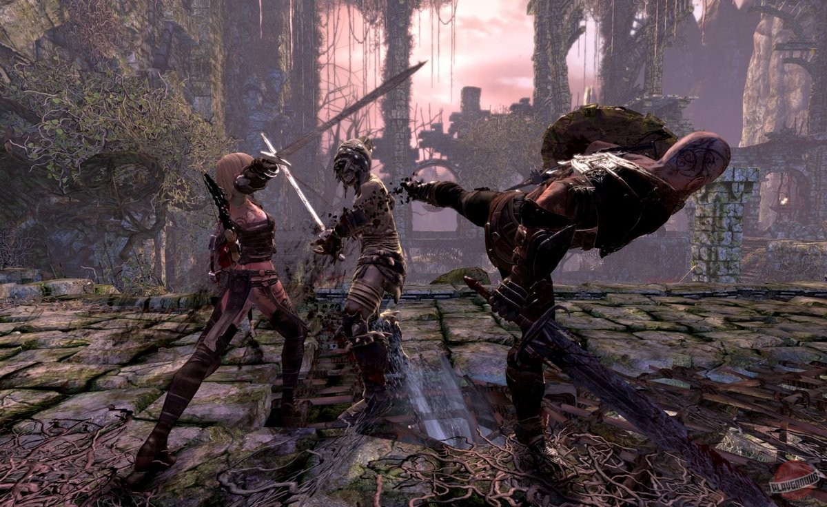 Скриншот из игры Hunted: The Demon's Forge - 121