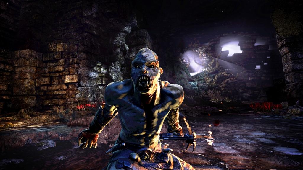 Скриншот из игры Hunted: The Demon's Forge - 32