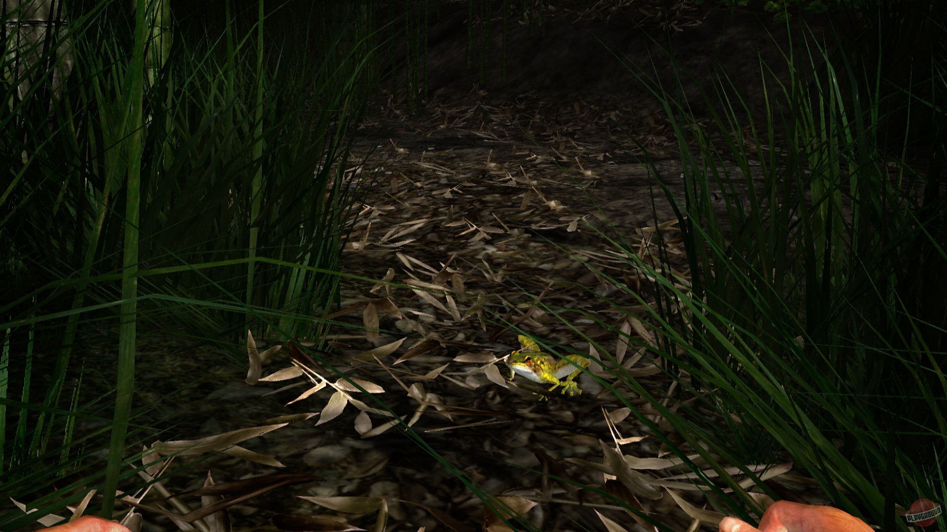 Скриншот из игры Miasmata - 26