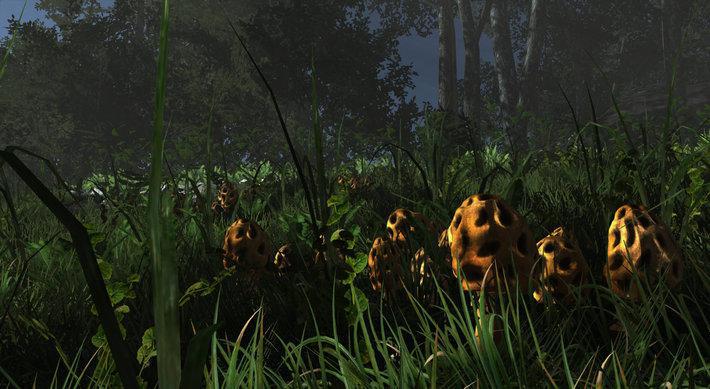 Скриншот из игры Miasmata - 67