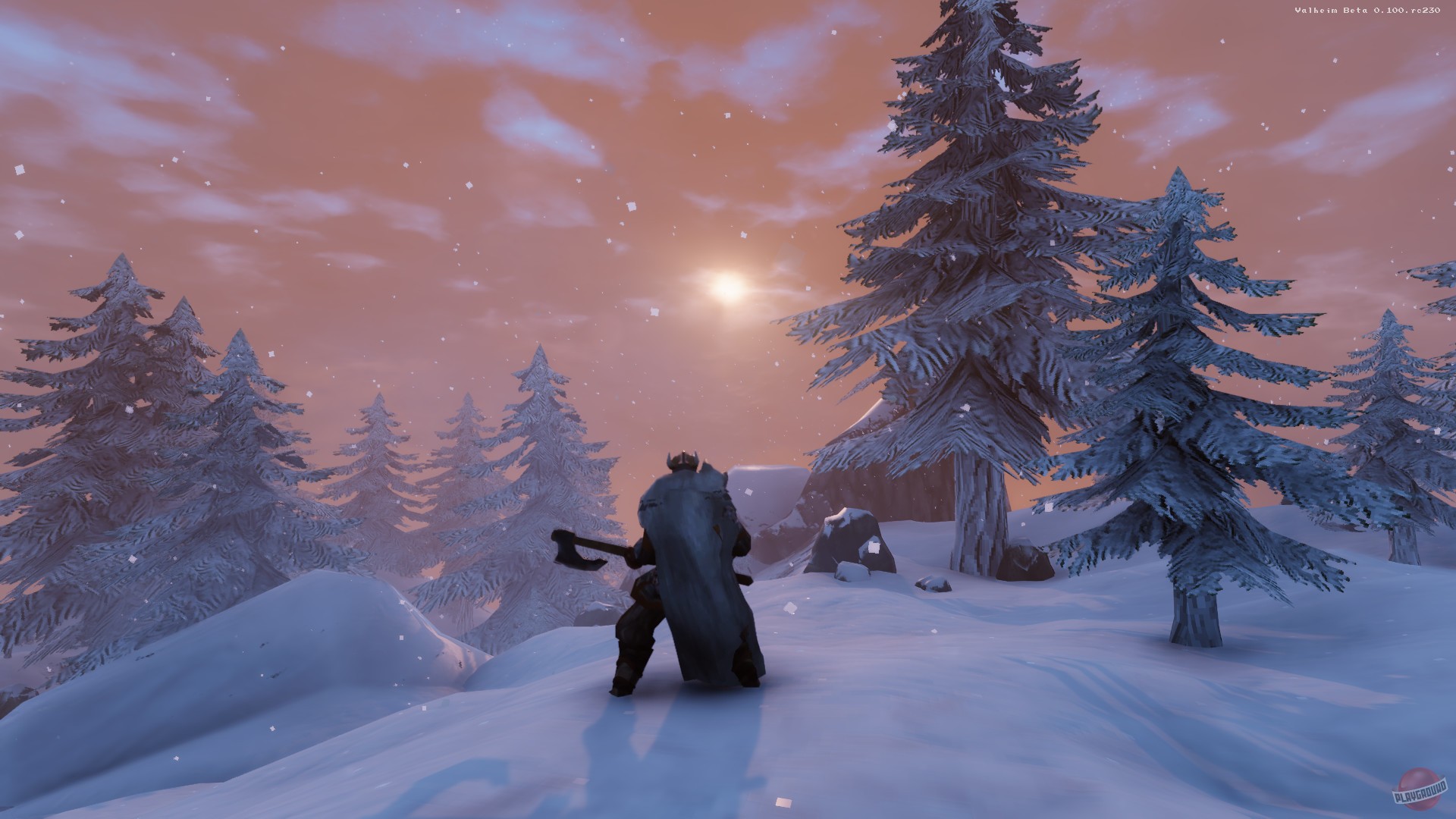 Скриншот из игры Valheim - 37