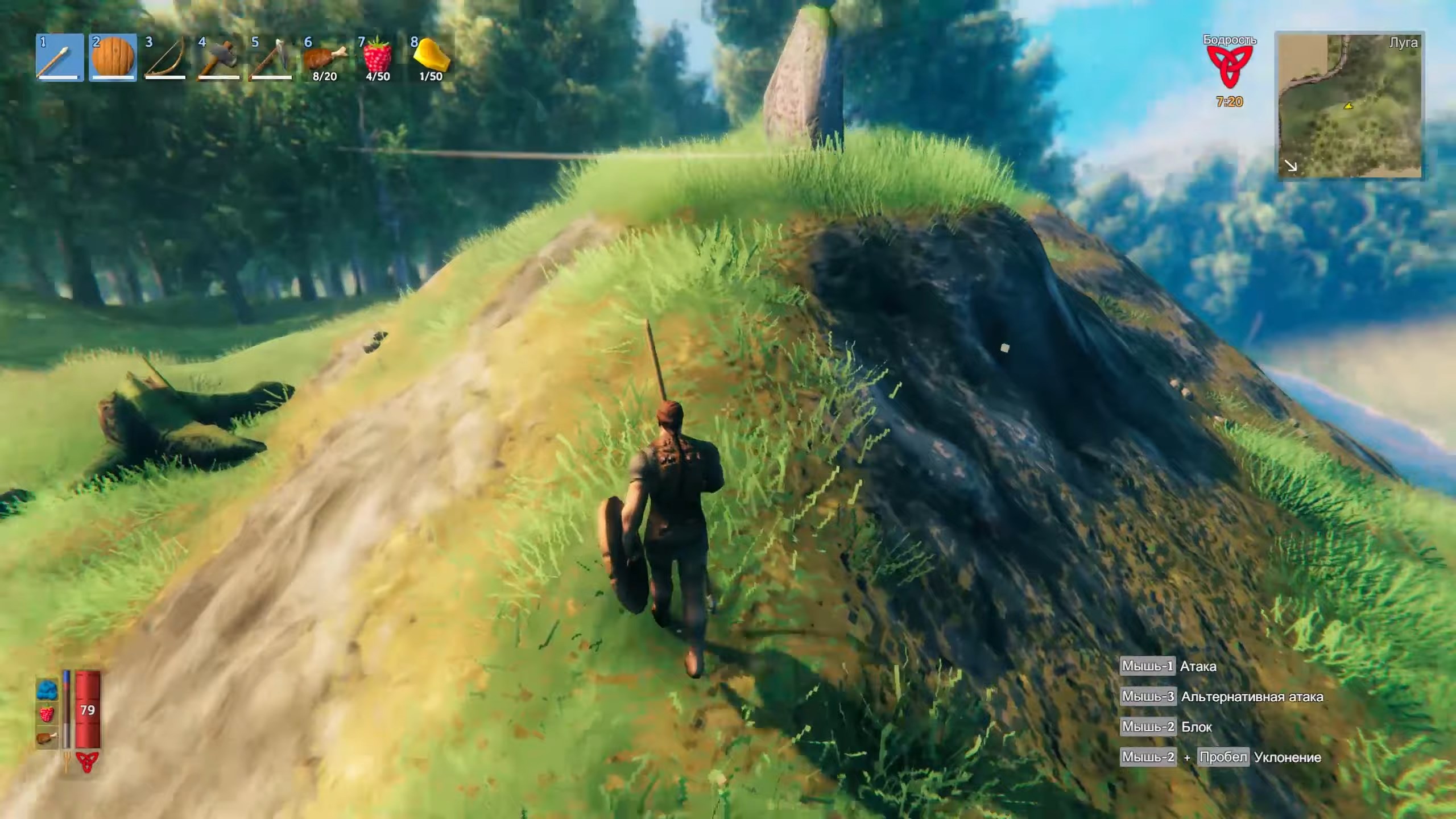 Скриншот из игры Valheim - 97