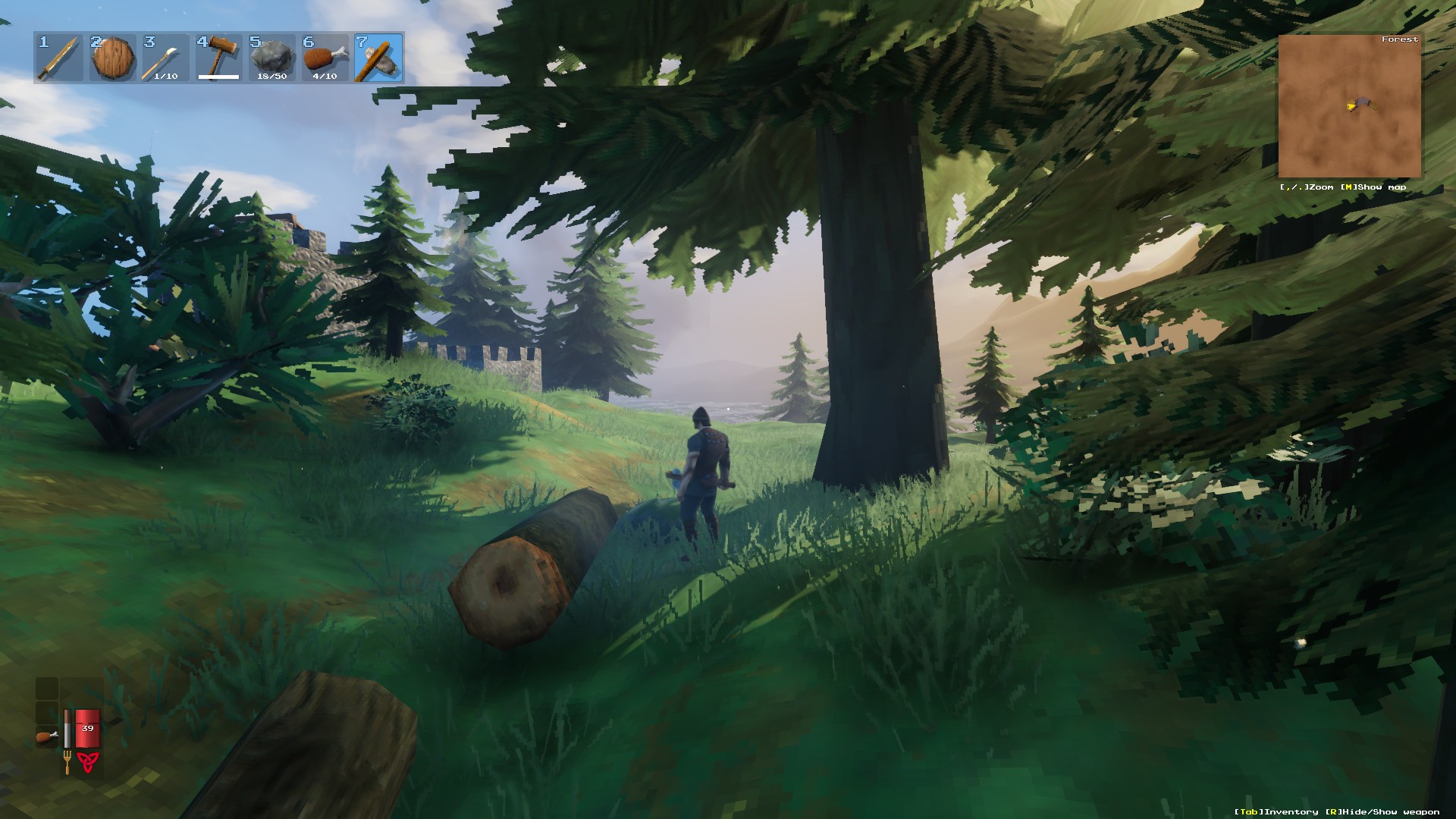 Скриншот из игры Valheim - 112