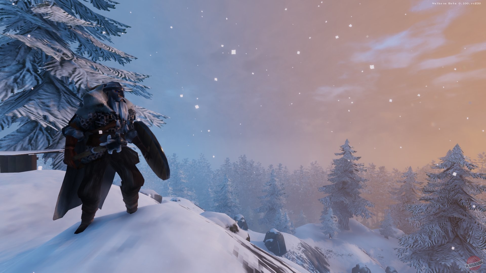 Скриншот из игры Valheim - 55