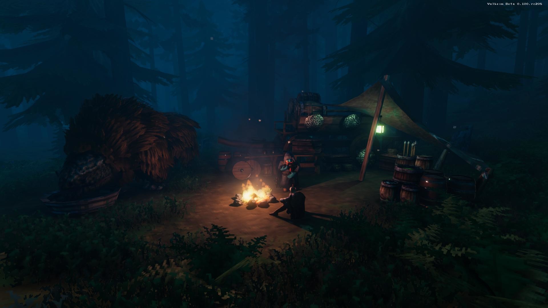 Скриншот из игры Valheim - 16