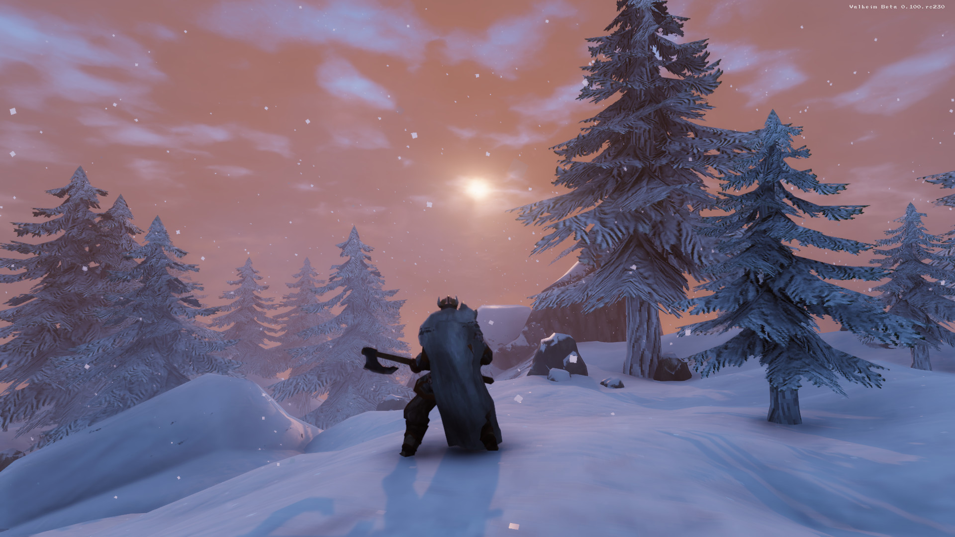 Скриншот из игры Valheim - 17