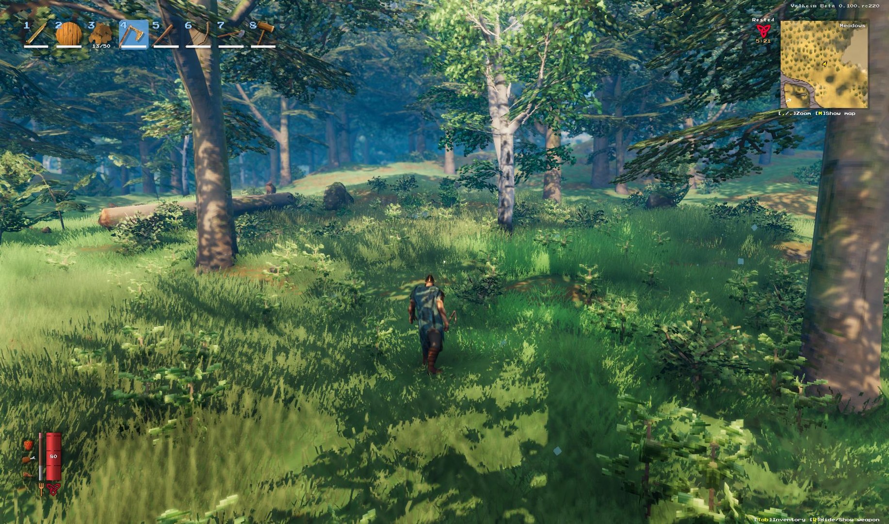 Скриншот из игры Valheim - 18