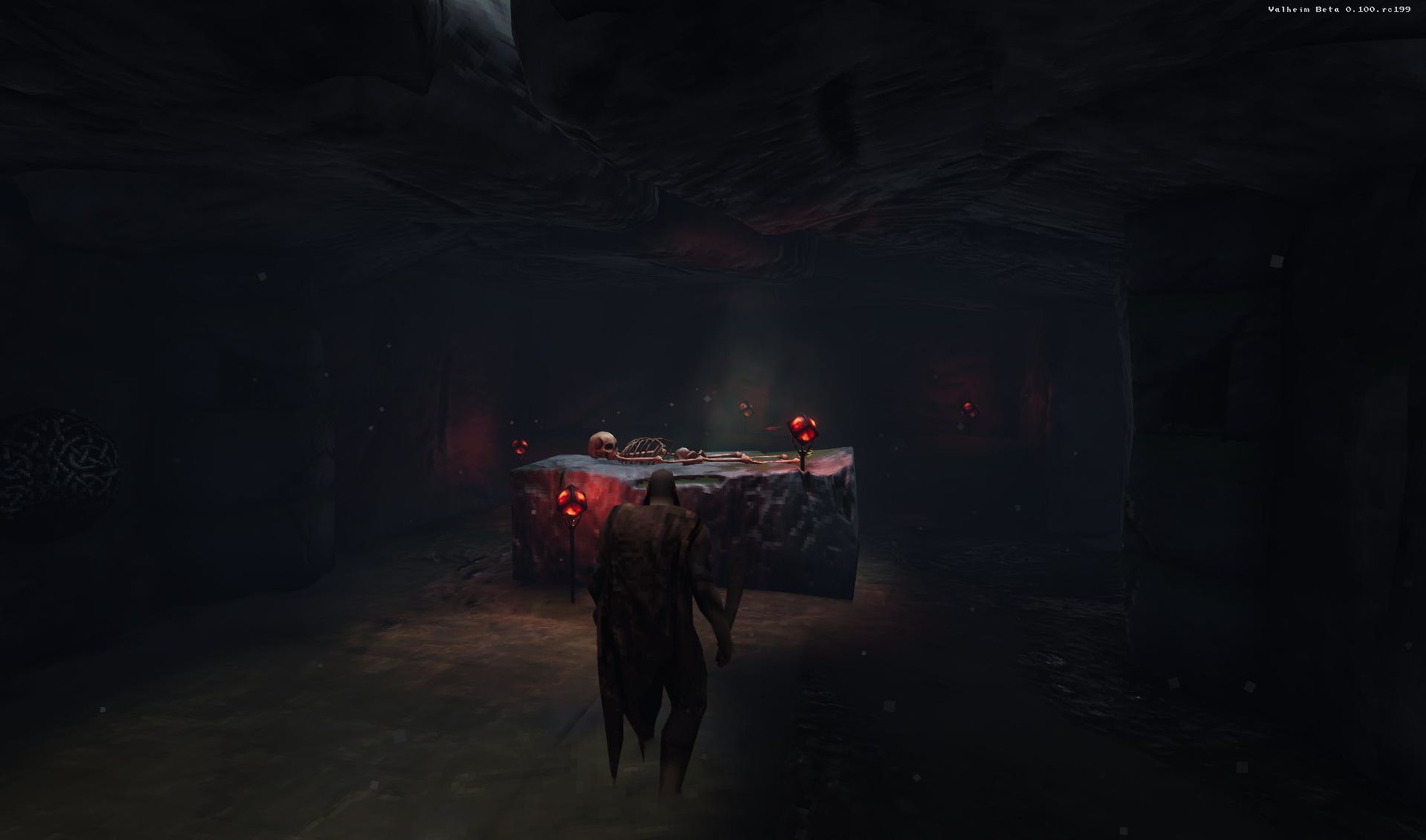 Скриншот из игры Valheim - 19