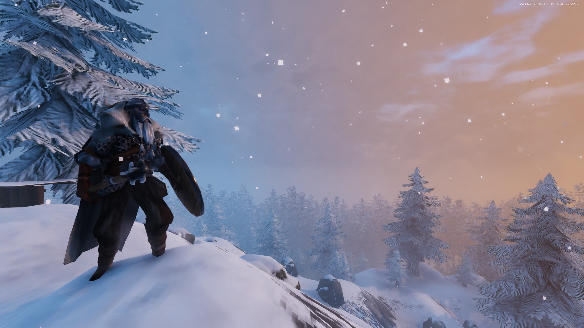 Скриншот из игры Valheim - 24