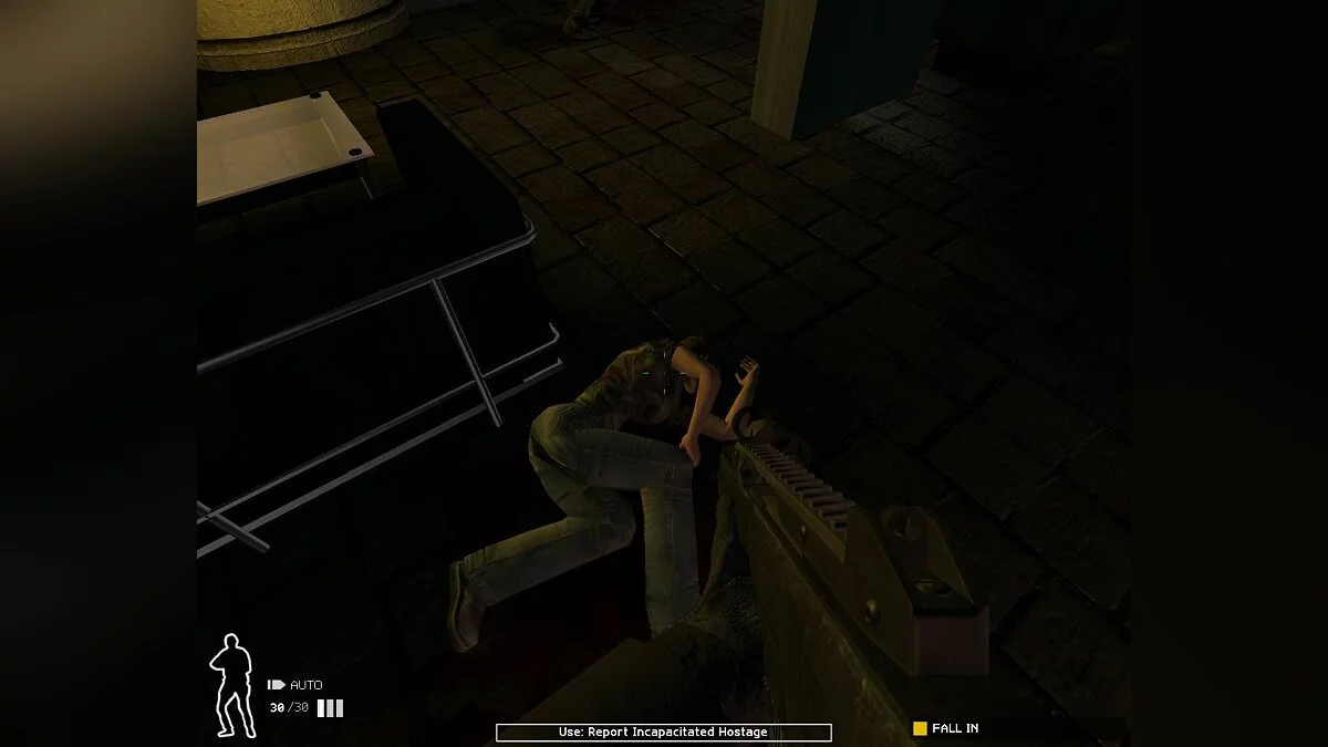 Скриншот из игры SWAT 4 - 27