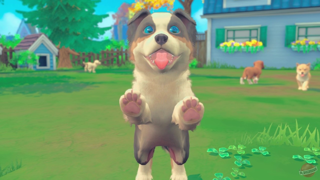 Скриншот из игры My Universe - Puppies & Kittens - 4