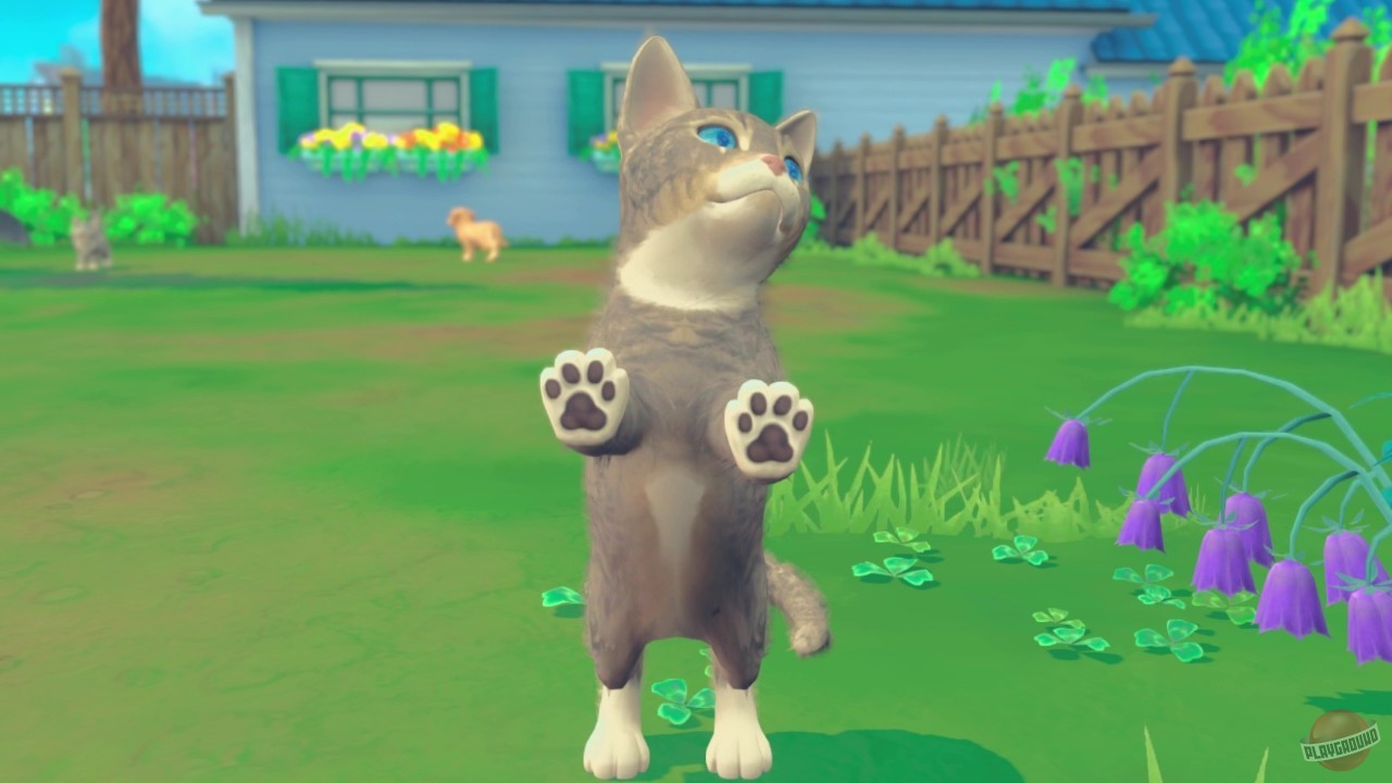 Скриншот из игры My Universe - Puppies & Kittens - 10