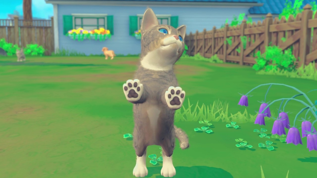 Скриншот из игры My Universe - Puppies & Kittens - 2