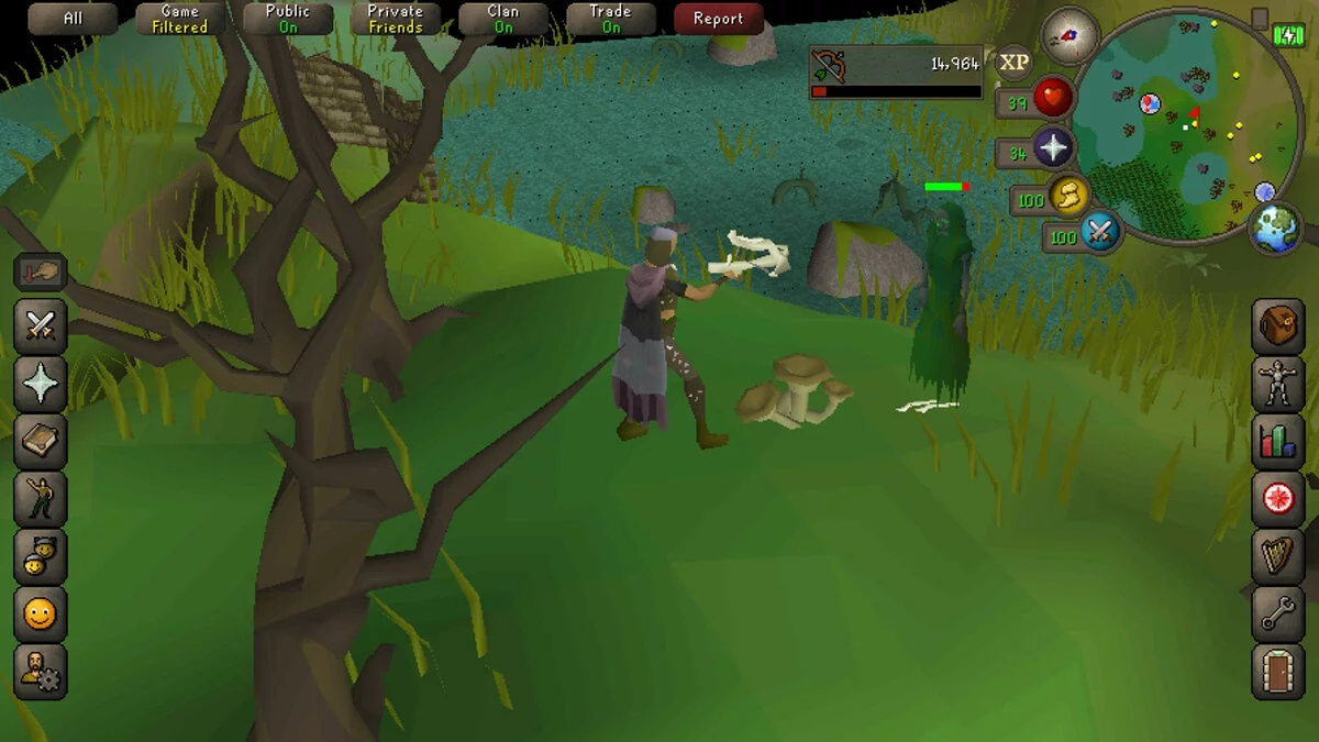Скриншот из игры Old School RuneScape - 16