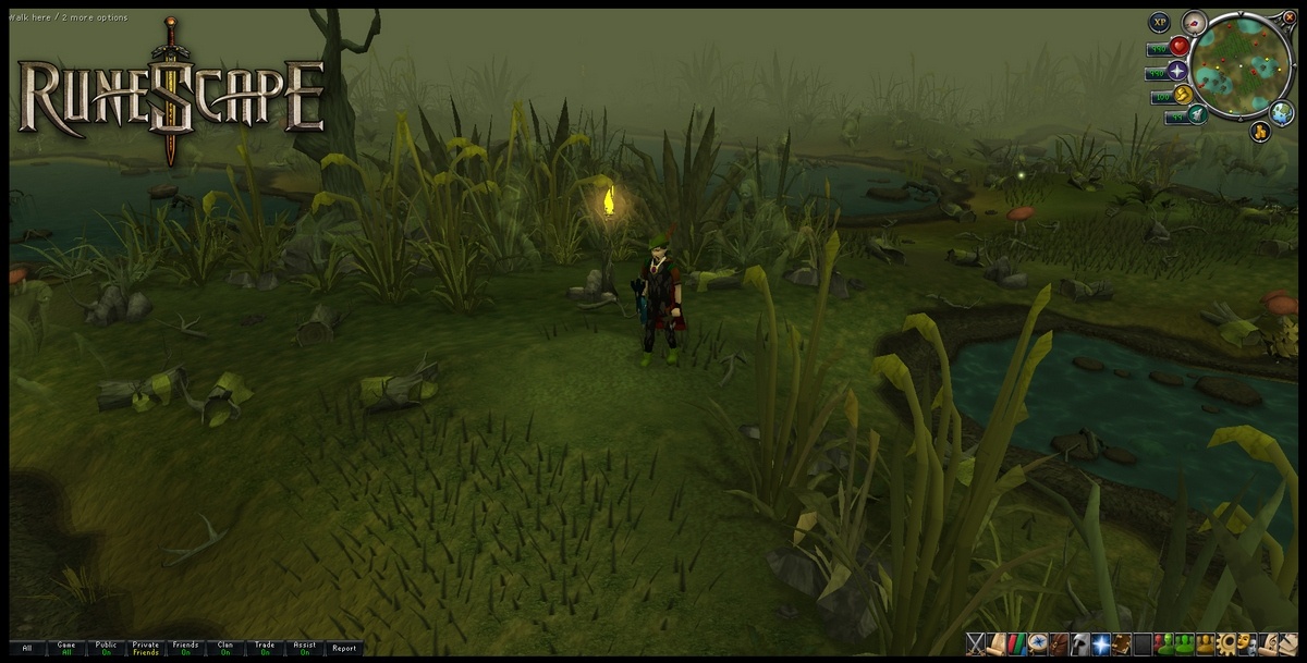 Скриншот из игры RuneScape - 24