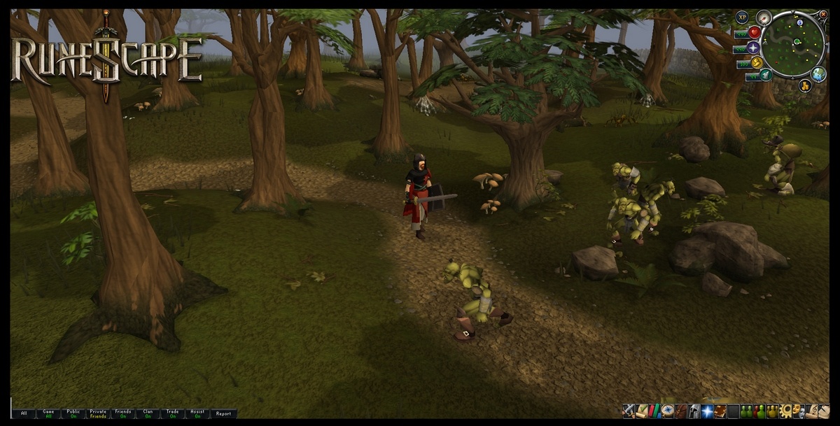 Скриншот из игры RuneScape - 30