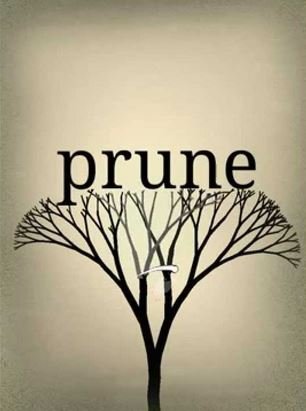 Обложка игры Prune