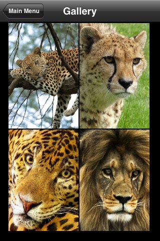 Скриншот из игры Animals Puzzle - 1