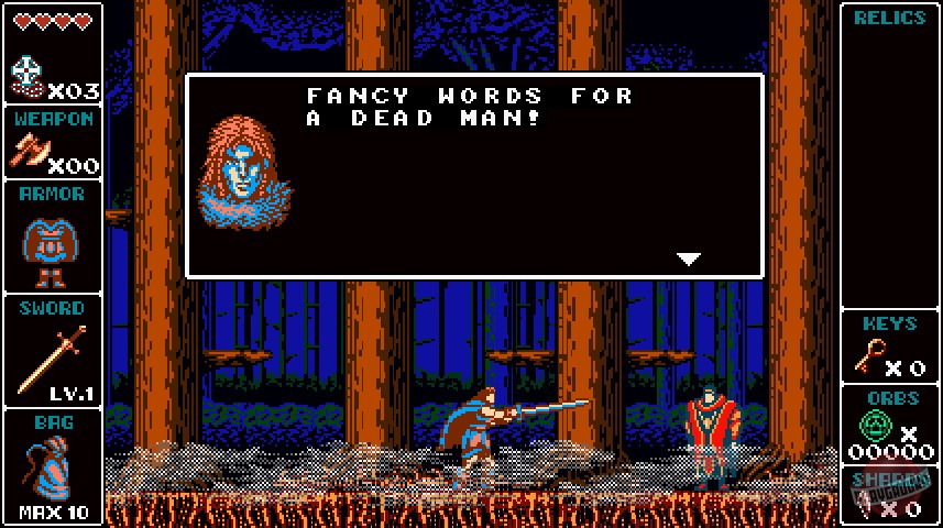 Скриншот из игры Odallus: The Dark Call - 13