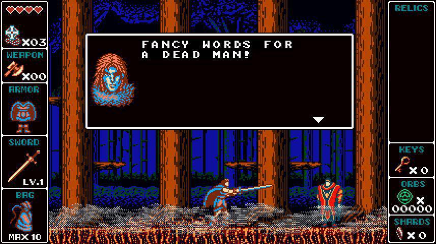 Скриншот из игры Odallus: The Dark Call - 14