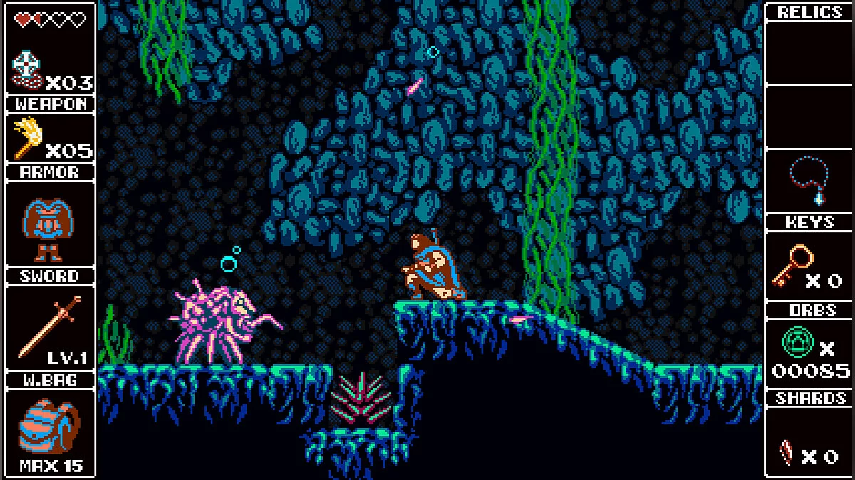 Скриншот из игры Odallus: The Dark Call - 15